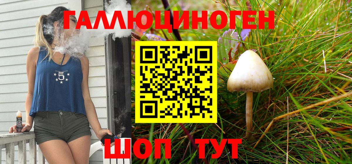 Протвино  Псилоцибиновые грибы GOLDEN TEACHER  Вход с VPN  Галлюциногенные грибы Psilocybe 
